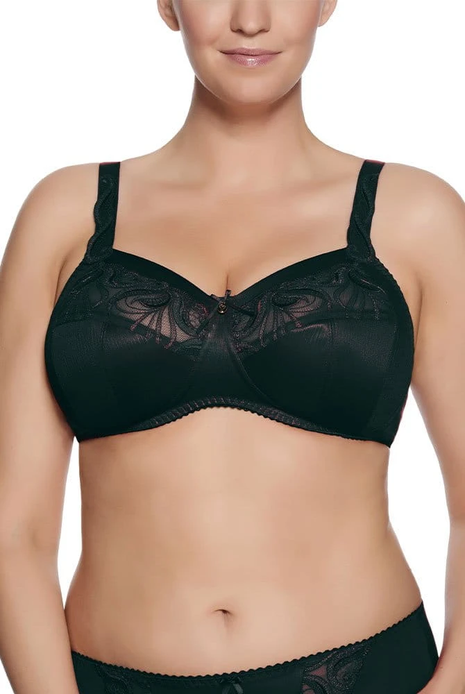 BH Carmen – Bild 2